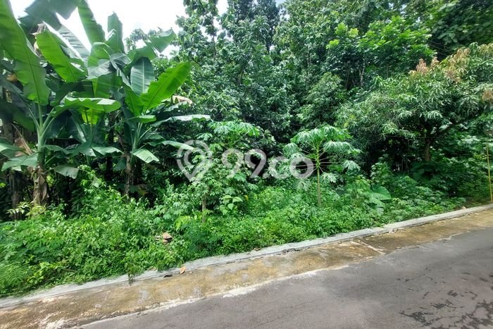 Kavling Tanah Dijual di Tasikmadu Karanganyar Spesifikasi 710m2 Kavling Tanah Dijual di Tasikmadu Karanganyar Spesifikasi 710m2