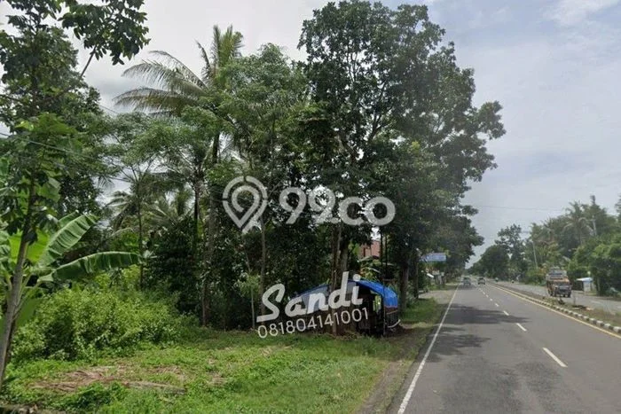 Tanah di Purwodadi, Purworejo Luas 298m2 Dijual Segera Tanah di Purwodadi, Purworejo Luas 298m2 Dijual Segera