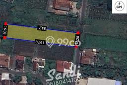 Tanah Kavling untuk Dijual di Prambanan Klaten 1362m2 Tanah Kavling untuk Dijual di Prambanan Klaten 1362m2