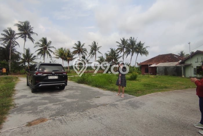 Tanah Dijual Lokasi Wates, Kulon Progo Luas 169m2 Legalitas Aman Tanah Dijual Lokasi Wates, Kulon Progo Luas 169m2 Legalitas Aman