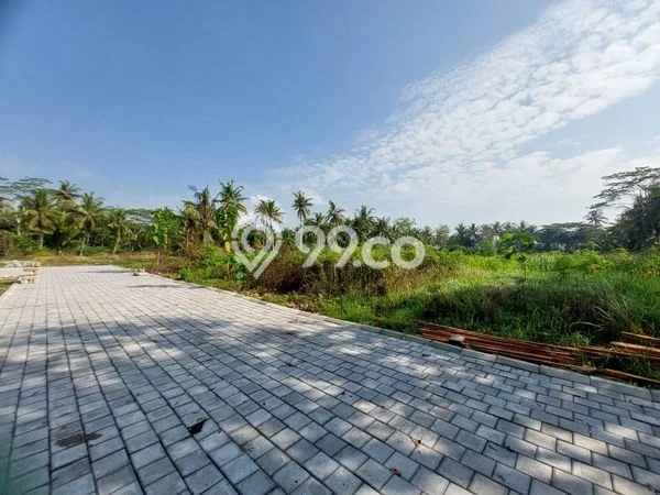 Tanah Kosong Dijual di Kulon Progo dengan Area 135m2 Tanah Kosong Dijual di Kulon Progo dengan Area 135m2