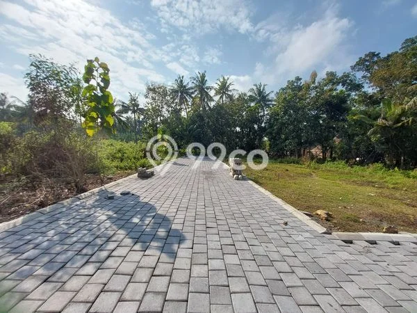 Tanah Kosong Dijual di Kulon Progo dengan Area 135m2 Tanah Kosong Dijual di Kulon Progo dengan Area 135m2