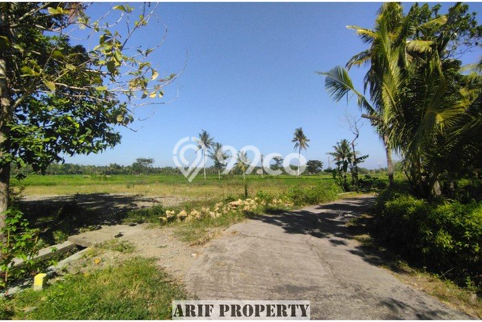 Tanah Area Prospektif Kawasan Pengasih, Luas 167m², Dekat ke Fasilitas, Lingkungan Asri Tanah Area Prospektif Kawasan Pengasih, Luas 167m², Dekat ke Fasilitas, Lingkungan Asri