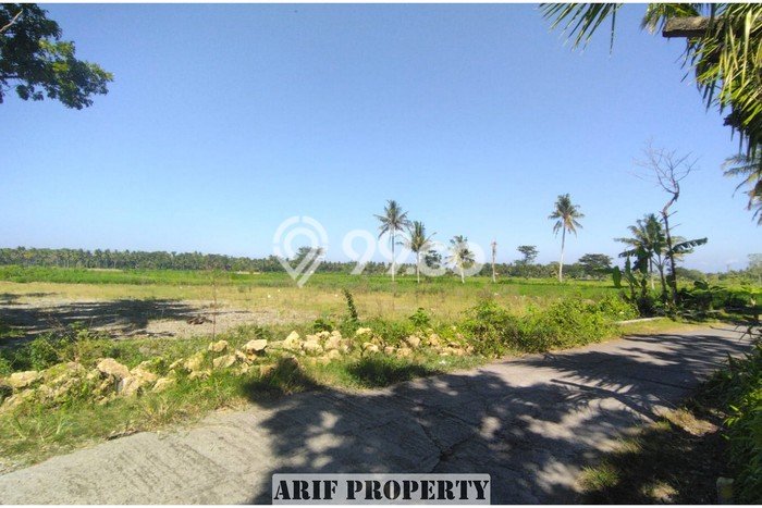 Tanah Area Prospektif Kawasan Pengasih, Luas 167m², Dekat ke Fasilitas, Lingkungan Asri Tanah Area Prospektif Kawasan Pengasih, Luas 167m², Dekat ke Fasilitas, Lingkungan Asri