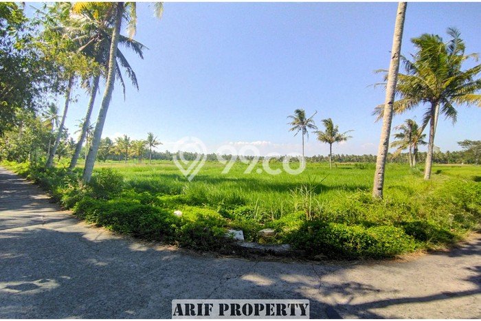 Tanah Strategis Kawasan Pengasih, Luas 127m², Ideal untuk Investasi Tanah Strategis Kawasan Pengasih, Luas 127m², Ideal untuk Investasi