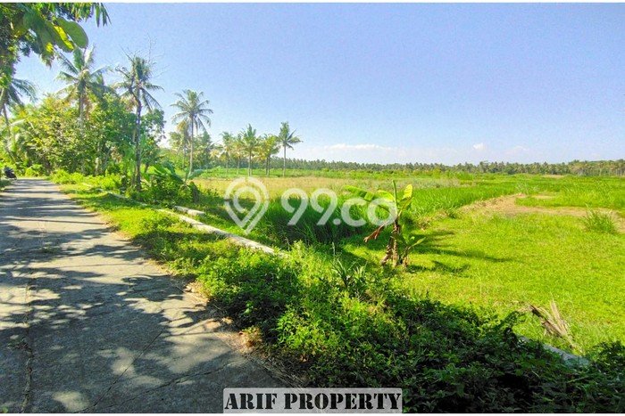 Tanah Strategis Kawasan Pengasih, Luas 127m², Ideal untuk Investasi Tanah Strategis Kawasan Pengasih, Luas 127m², Ideal untuk Investasi