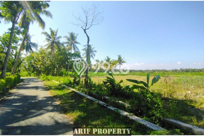 Dijual Tanah Lokasi Strategis di Pengasih, Luas 167m², Dekat Pengasih, Kulon Progo, Kulon Progo Dijual Tanah Lokasi Strategis di Pengasih, Luas 167m², Dekat Pengasih, Kulon Progo, Kulon Progo