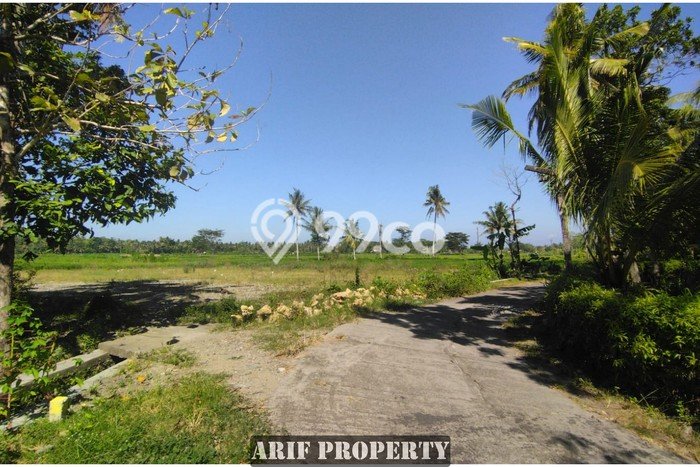 Dijual Tanah Lokasi Strategis di Pengasih, Luas 167m², Dekat Pengasih, Kulon Progo, Kulon Progo Dijual Tanah Lokasi Strategis di Pengasih, Luas 167m², Dekat Pengasih, Kulon Progo, Kulon Progo