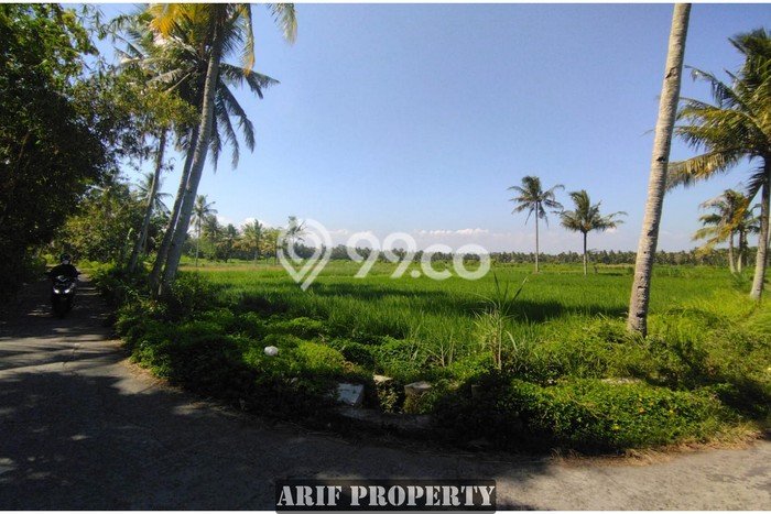 Tanah Komersial Kawasan Pengasih, Luas 166m², Pinggir Jalan Tanah Komersial Kawasan Pengasih, Luas 166m², Pinggir Jalan