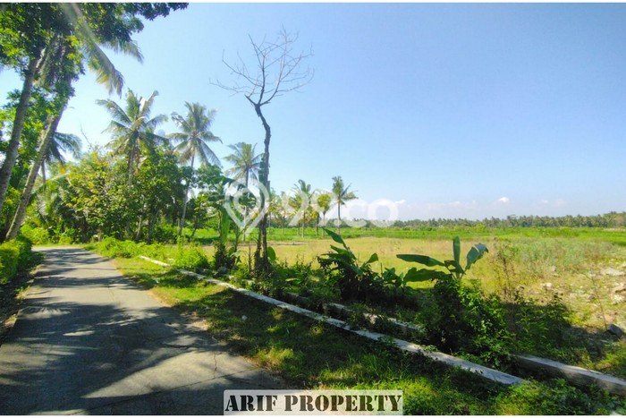 Tanah Kawasan Pengasih, Luas 167m², Akses Mudah, Area Berkembang Tanah Kawasan Pengasih, Luas 167m², Akses Mudah, Area Berkembang
