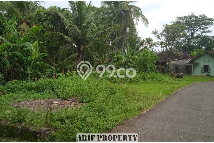 Tanah Strategis di Pengasih, Luas 138m², Ideal untuk Investasi Tanah Strategis di Pengasih, Luas 138m², Ideal untuk Investasi