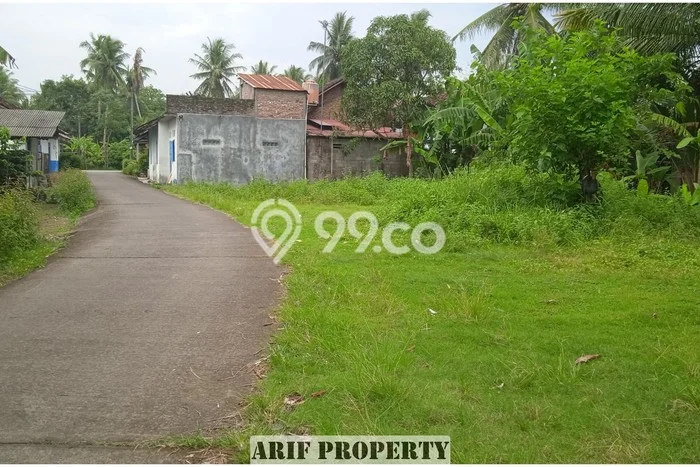 Tanah Strategis di Pengasih, Luas 138m², Ideal untuk Investasi Tanah Strategis di Pengasih, Luas 138m², Ideal untuk Investasi