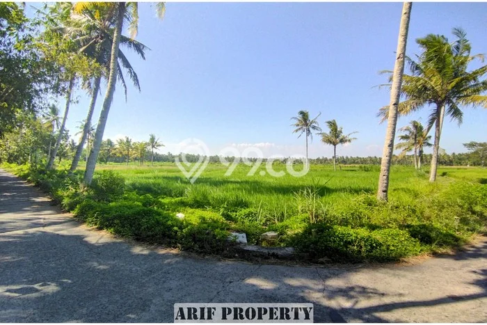 LOKASI STRATEGIS! Tanah Kawasan Pengasih, Luas 127m², Kawasan Berkembang, Cocok untuk Investasi LOKASI STRATEGIS! Tanah Kawasan Pengasih, Luas 127m², Kawasan Berkembang, Cocok untuk Investasi