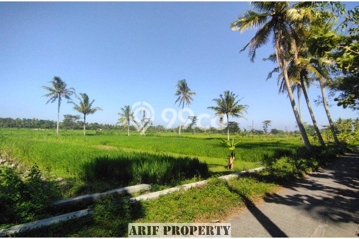 LOKASI STRATEGIS! Tanah Kawasan Pengasih, Luas 127m², Kawasan Berkembang, Cocok untuk Investasi LOKASI STRATEGIS! Tanah Kawasan Pengasih, Luas 127m², Kawasan Berkembang, Cocok untuk Investasi
