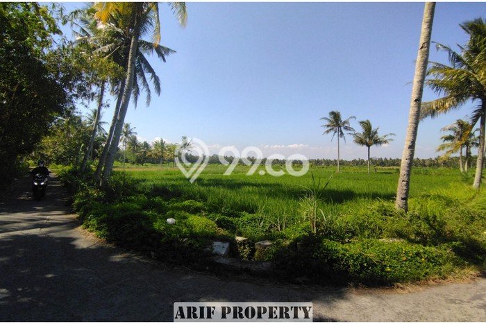 LOKASI STRATEGIS! Tanah Kawasan Pengasih, Luas 127m², Kawasan Berkembang, Cocok untuk Investasi LOKASI STRATEGIS! Tanah Kawasan Pengasih, Luas 127m², Kawasan Berkembang, Cocok untuk Investasi