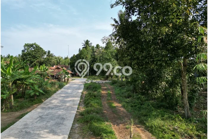 Tanah di Ngombol, Luas 141m², Sertifikat SHM, Akses Ngombol, Purworejo, Purworejo Tanah di Ngombol, Luas 141m², Sertifikat SHM, Akses Ngombol, Purworejo, Purworejo