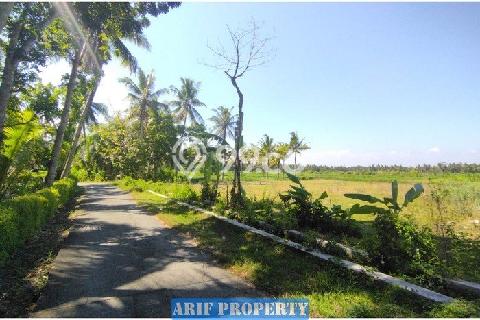 HARGA TERBAIK! Tanah di Pengasih, Luas 167m², Akses Strategis, Area Berkembang HARGA TERBAIK! Tanah di Pengasih, Luas 167m², Akses Strategis, Area Berkembang