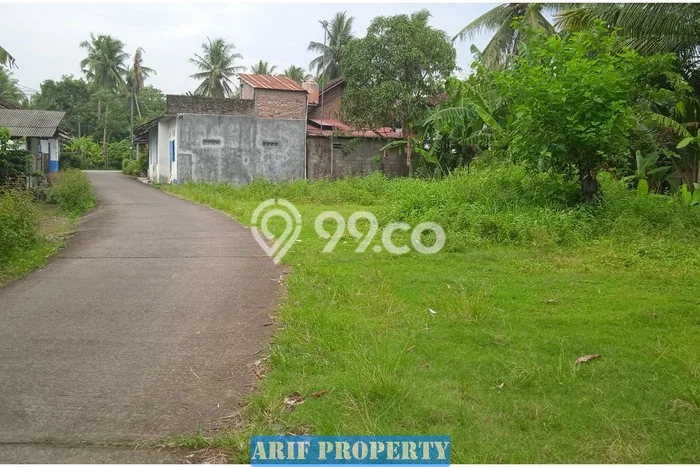Tanah Lokasi Strategis Kawasan Pengasih, Luas 138m², Akses ke Fasilitas Umum Tanah Lokasi Strategis Kawasan Pengasih, Luas 138m², Akses ke Fasilitas Umum