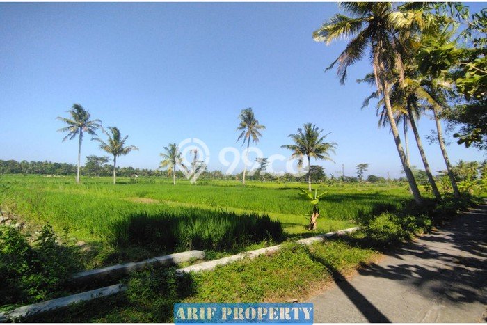 HOT DEAL! Tanah di Pengasih, Luas 127m², Lokasi Premium HOT DEAL! Tanah di Pengasih, Luas 127m², Lokasi Premium
