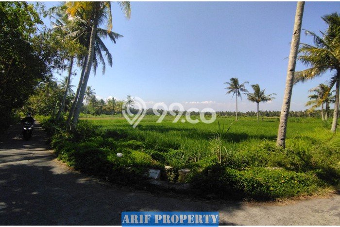 HOT DEAL! Tanah di Pengasih, Luas 127m², Lokasi Premium HOT DEAL! Tanah di Pengasih, Luas 127m², Lokasi Premium