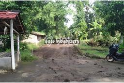HARGA MENARIK! Tanah Kawasan Moyudan, Luas 184m², Lingkungan Asri, Bebas Longsor HARGA MENARIK! Tanah Kawasan Moyudan, Luas 184m², Lingkungan Asri, Bebas Longsor