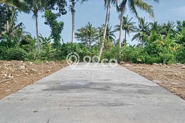 Tanah di Wates, Kulon Progo Luas 114m2 Dijual Segera Tanah di Wates, Kulon Progo Luas 114m2 Dijual Segera