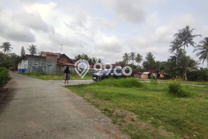 Tanah Dijual Lokasi Wates, Kulon Progo Luas 169m2 Legalitas Aman Tanah Dijual Lokasi Wates, Kulon Progo Luas 169m2 Legalitas Aman