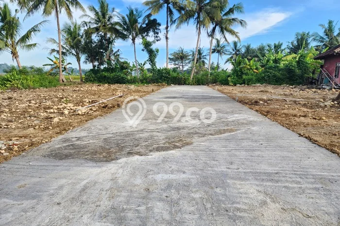 Tanah di Wates, Kulon Progo Luas 114m2 Dijual Segera Tanah di Wates, Kulon Progo Luas 114m2 Dijual Segera