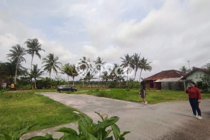 Tanah Dijual Lokasi Wates, Kulon Progo Luas 169m2 Legalitas Aman Tanah Dijual Lokasi Wates, Kulon Progo Luas 169m2 Legalitas Aman
