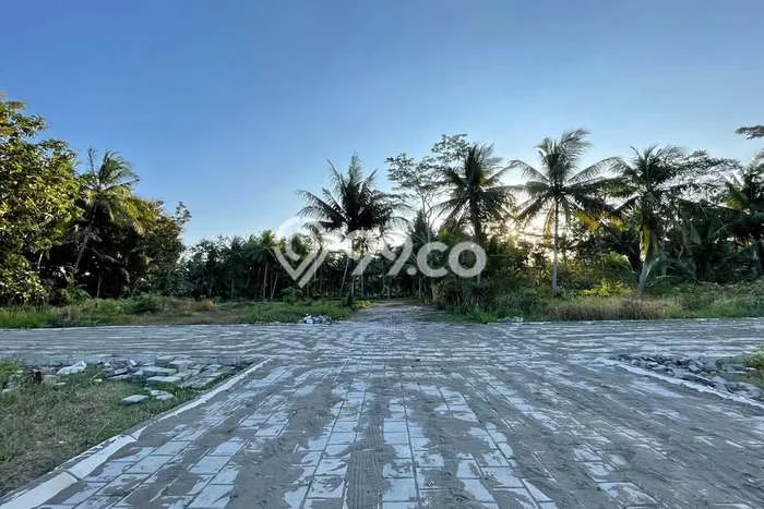 Tanah Kosong Dijual di Kulon Progo dengan Area 135m2 Tanah Kosong Dijual di Kulon Progo dengan Area 135m2