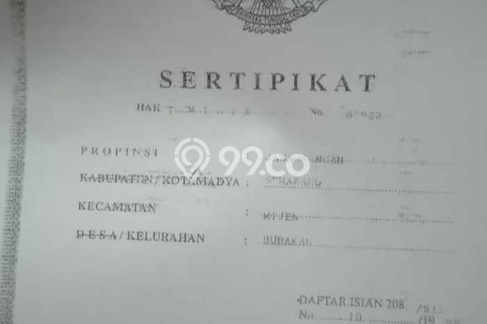 Kavling Tanah Dijual di Mijen Semarang Spesifikasi 2596m2 Kavling Tanah Dijual di Mijen Semarang Spesifikasi 2596m2