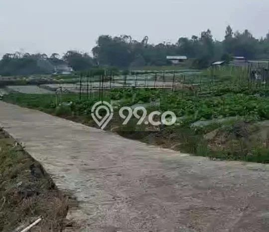 Tanah Dijual Lokasi Ngablak, Magelang Luas 1000m2 Legalitas Aman Tanah Dijual Lokasi Ngablak, Magelang Luas 1000m2 Legalitas Aman