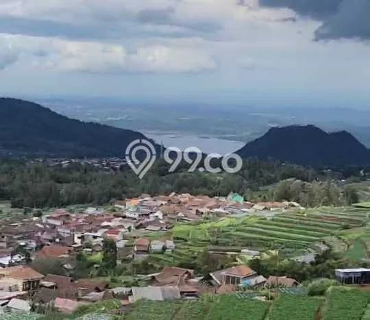 Lahan Strategis di Ngablak Dijual dengan Luas 1533m2 Lahan Strategis di Ngablak Dijual dengan Luas 1533m2