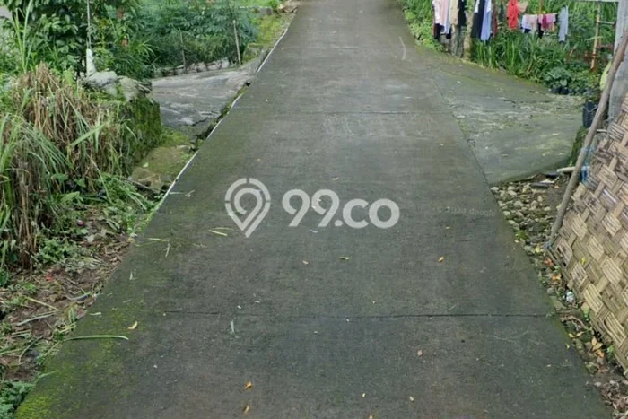 Tanah Dijual Lokasi Getasan, Semarang dengan Luas Tanah 4500m2 dan Status SHM Tanah Dijual Lokasi Getasan, Semarang dengan Luas Tanah 4500m2 dan Status SHM