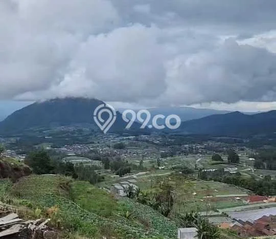 Lahan Strategis di Ngablak Dijual dengan Luas 1533m2 Lahan Strategis di Ngablak Dijual dengan Luas 1533m2