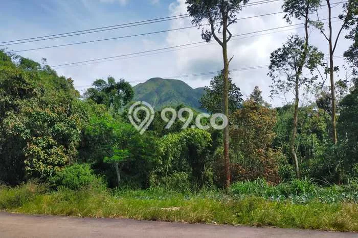 Tanah Dijual Lokasi Ngablak, Magelang dengan Luas Tanah 1500m2 dan Status SHM Tanah Dijual Lokasi Ngablak, Magelang dengan Luas Tanah 1500m2 dan Status SHM