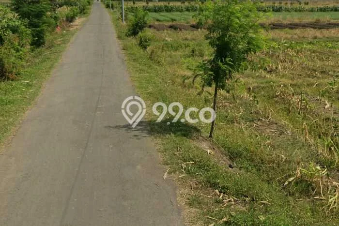 Jarang Ada! Tanah di Jatibarang Punya Luas 2590m2 SHM Jarang Ada! Tanah di Jatibarang Punya Luas 2590m2 SHM