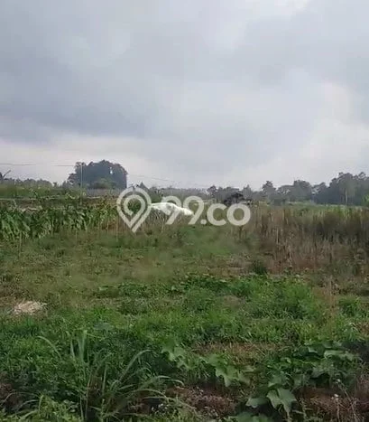 Tanah Komersial Dijual di Ngablak Magelang 750m2 Tanah Komersial Dijual di Ngablak Magelang 750m2