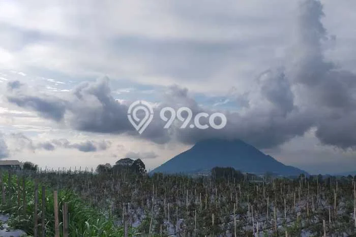 Tanah Kosong Dijual di Magelang dengan Area 865m2 Tanah Kosong Dijual di Magelang dengan Area 865m2