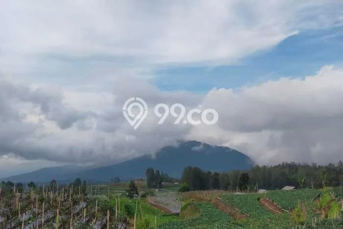 Tanah Kosong Dijual di Magelang dengan Area 865m2 Tanah Kosong Dijual di Magelang dengan Area 865m2