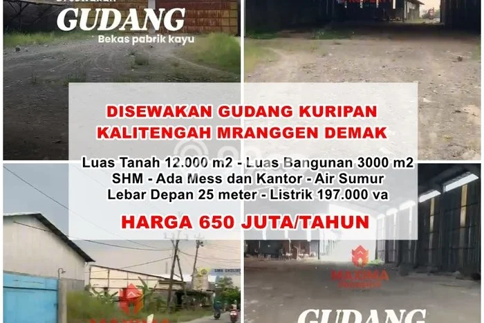 Gudang paling strategis disewakan di Mranggen Demak Gudang paling strategis disewakan di Mranggen Demak