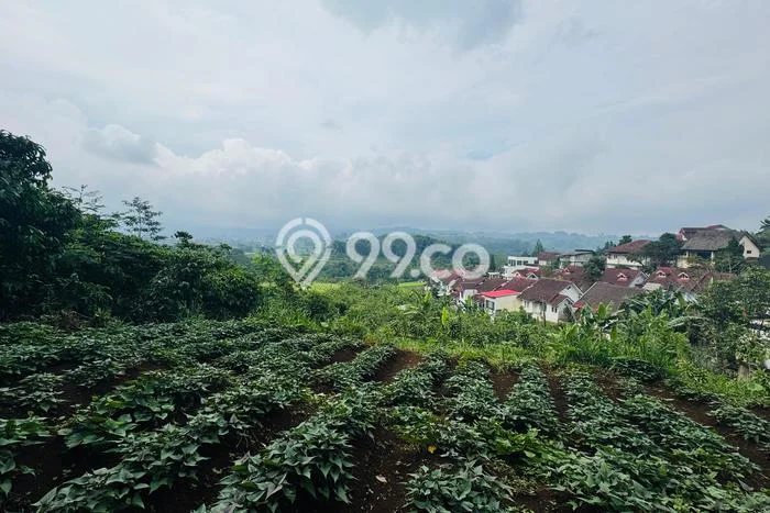Tanah Dijual Area Strategis di Cipayung Bogor 3000m2 Tanah Dijual Area Strategis di Cipayung Bogor 3000m2