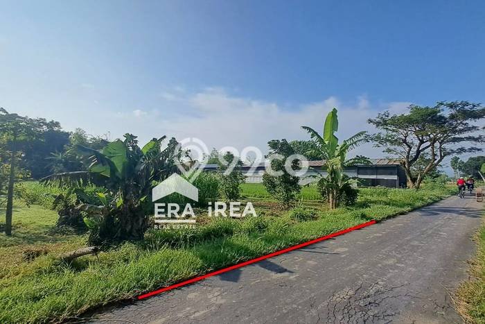 Tanah Kavling untuk Dijual di Berbah Sleman 502m2 Tanah Kavling untuk Dijual di Berbah Sleman 502m2