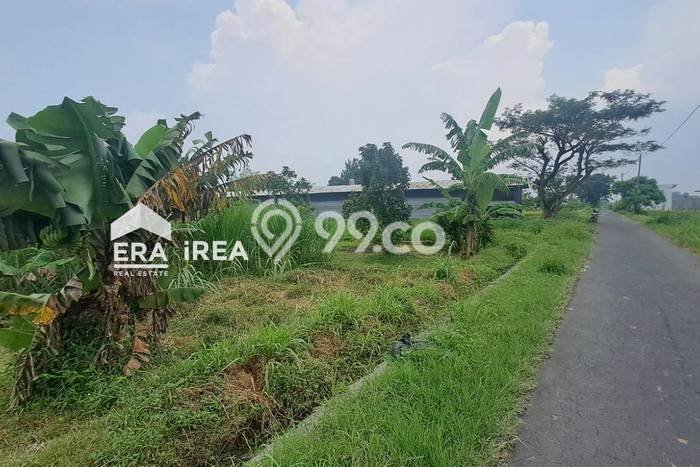 Tanah Kavling untuk Dijual di Berbah Sleman 502m2 Tanah Kavling untuk Dijual di Berbah Sleman 502m2