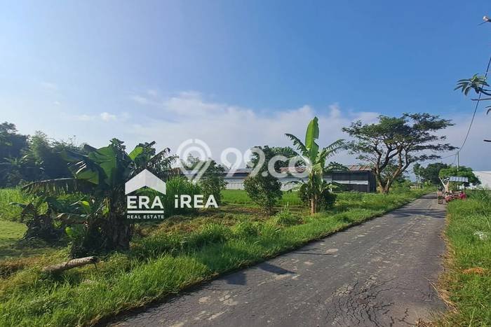 Tanah Kavling untuk Dijual di Berbah Sleman 502m2 Tanah Kavling untuk Dijual di Berbah Sleman 502m2