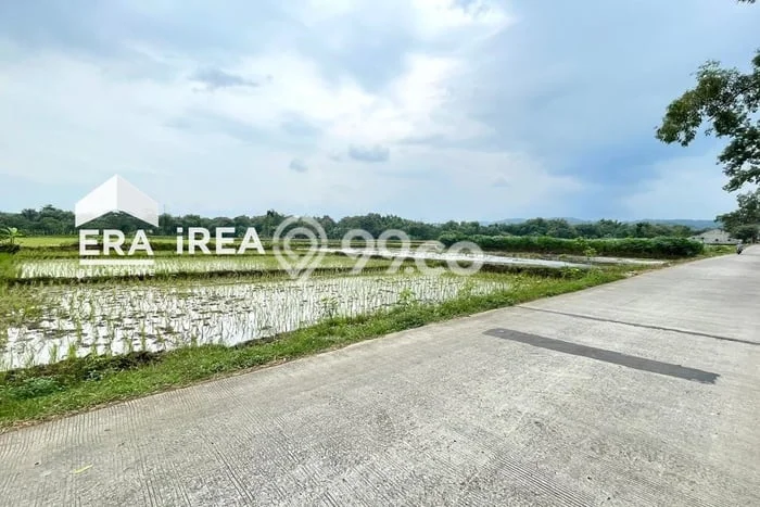 Tanah Area Berkembang di Simo, Luas 795m2m², Cocok untuk Pengembangan Tanah Area Berkembang di Simo, Luas 795m2m², Cocok untuk Pengembangan