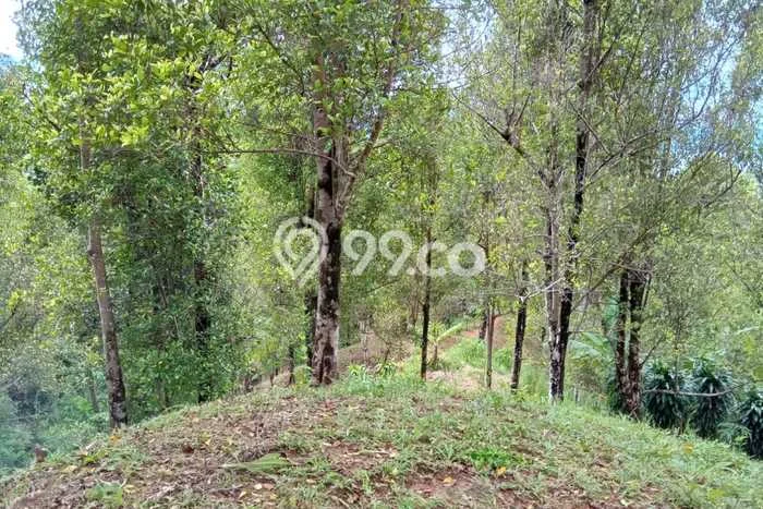 Untuk Dijual Tanah di Cisolok Sukabumi Luas 15000m2 AJB Untuk Dijual Tanah di Cisolok Sukabumi Luas 15000m2 AJB