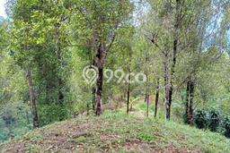 Untuk Dijual Tanah di Cisolok Sukabumi Luas 15000m2 AJB Untuk Dijual Tanah di Cisolok Sukabumi Luas 15000m2 AJB