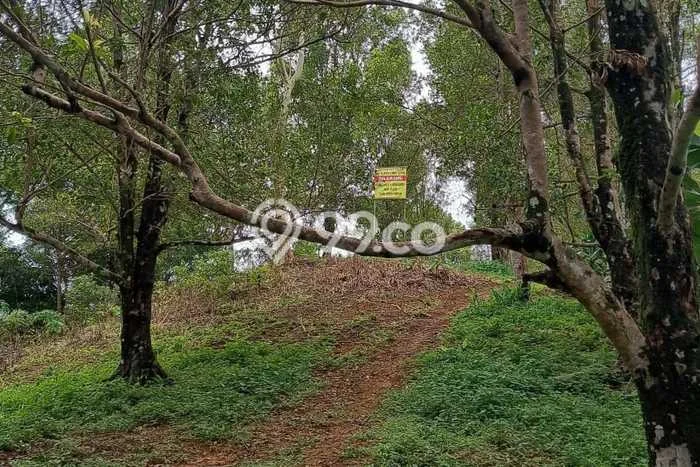 Untuk Dijual Tanah di Cisolok Sukabumi Luas 15000m2 AJB Untuk Dijual Tanah di Cisolok Sukabumi Luas 15000m2 AJB