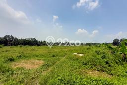 Tanah Dijual Lokasi Setu, Bekasi Luas 3600m2 Legalitas Aman Tanah Dijual Lokasi Setu, Bekasi Luas 3600m2 Legalitas Aman